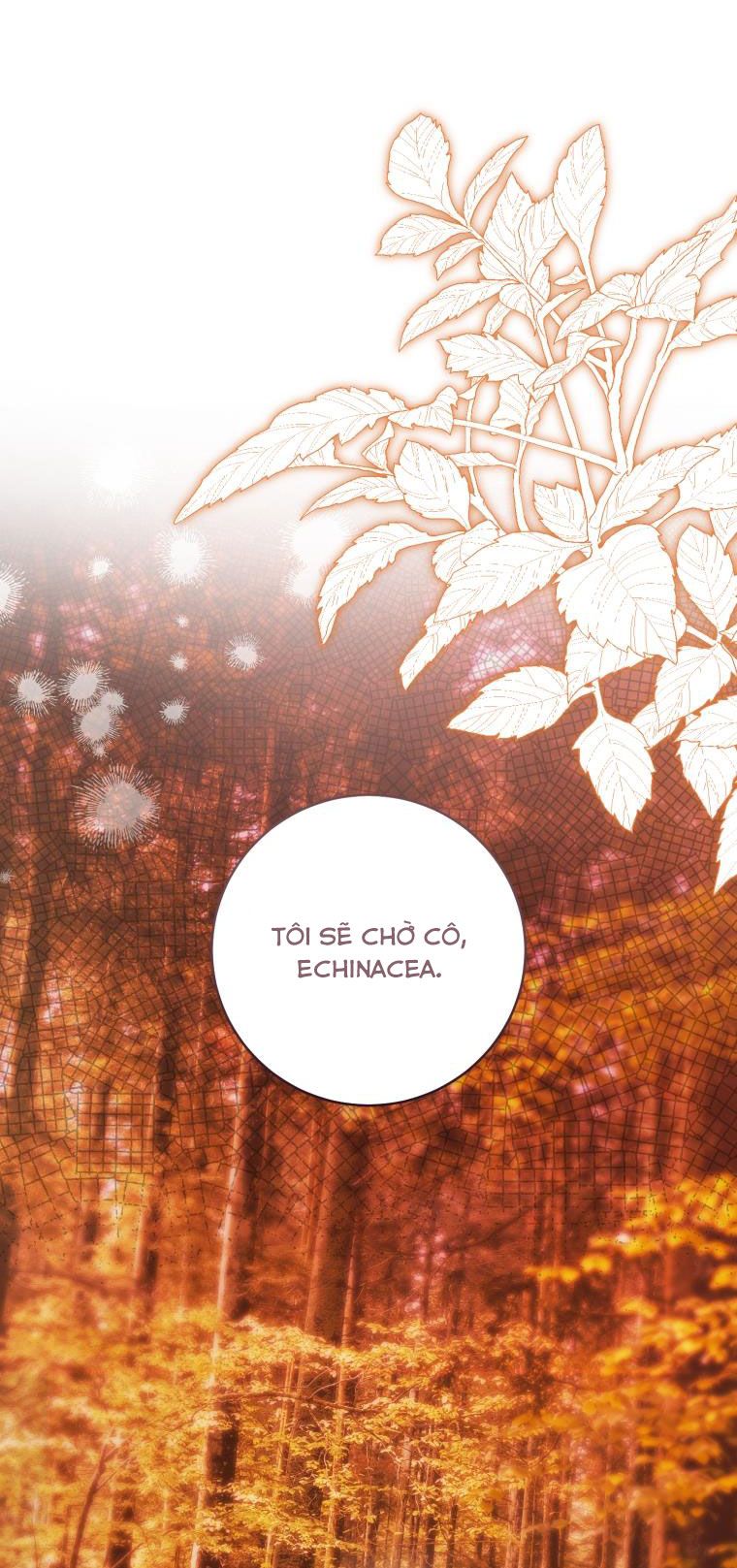 Hoa Bên Lưỡi Kiếm Chap 38 - trang 19