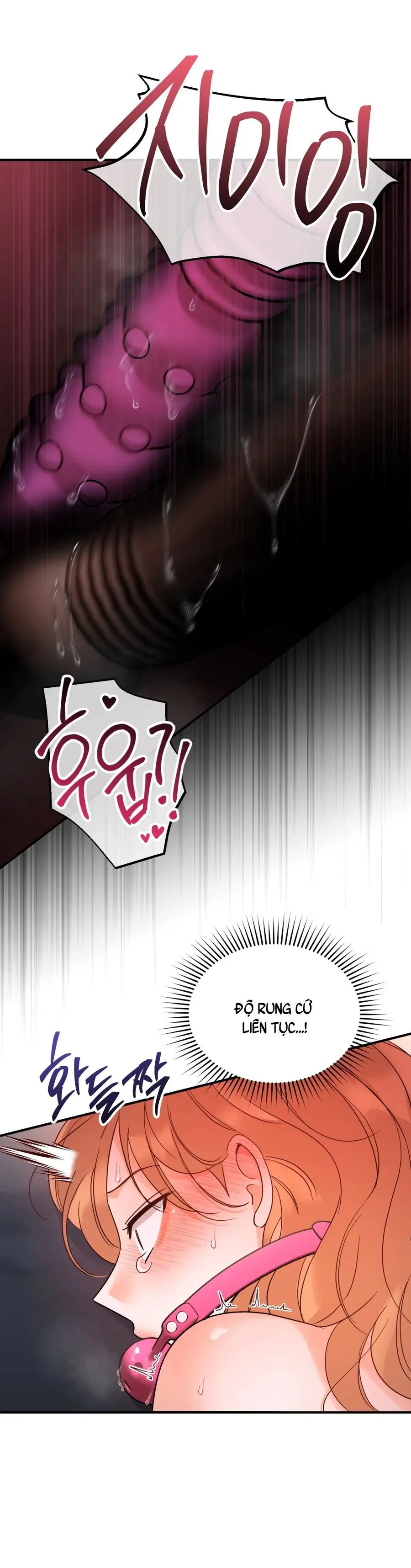 Huấn Luyện Viên Hai Hương Vị Chap 13 - trang 26