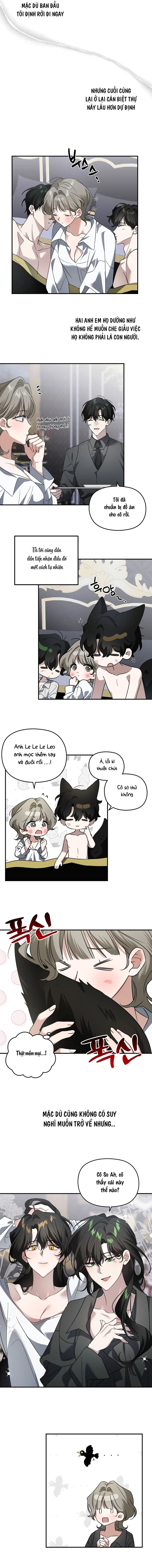 Lúc Nửa Đêm Ở Tòa Lâu Đài Chap 3 - trang 3
