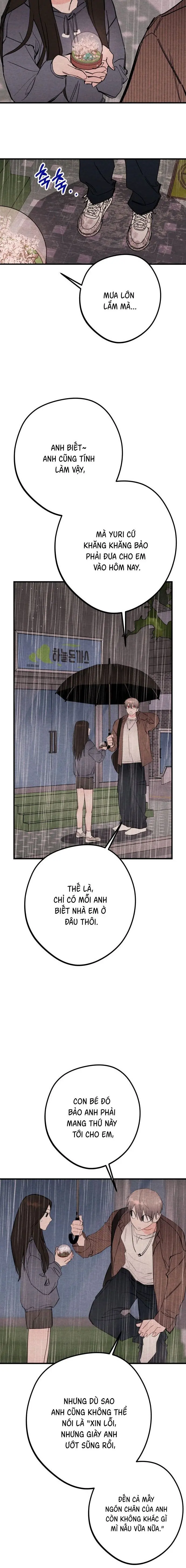 Bí Mật Của Tiền Bối Hoàn Hảo Chap 20 - trang 5