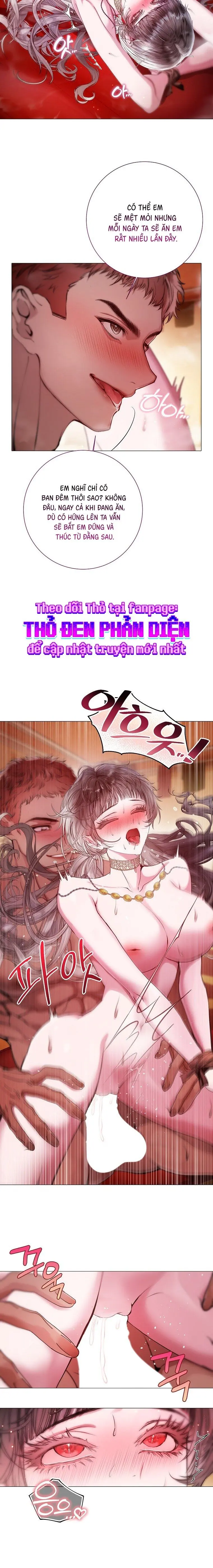 Cẩm Nang Dành Cho Merry Bad Ending Chap 25 - trang 11