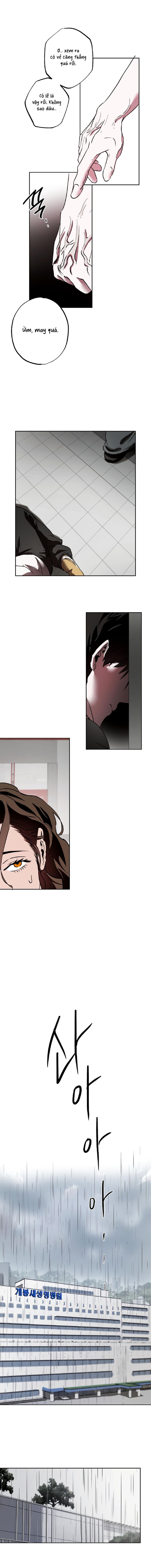 Tình Yêu Thuần Khiết Rốt Cuộc Là Gì Thế?! Chap 26 - trang 10