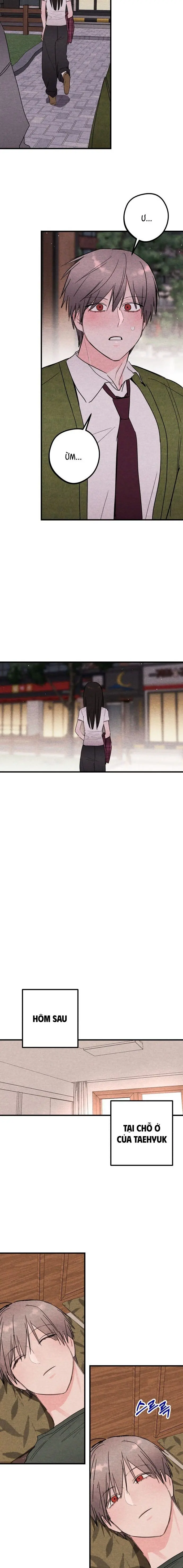 Bí Mật Của Tiền Bối Hoàn Hảo Chap 16 - trang 9