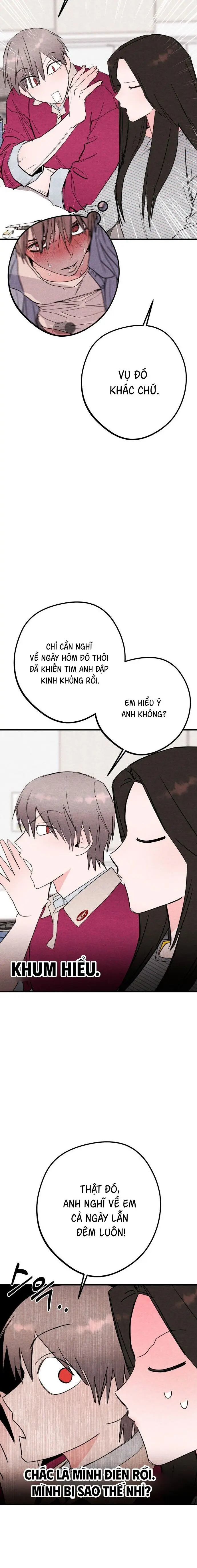 Bí Mật Của Tiền Bối Hoàn Hảo Chap 17 - trang 9