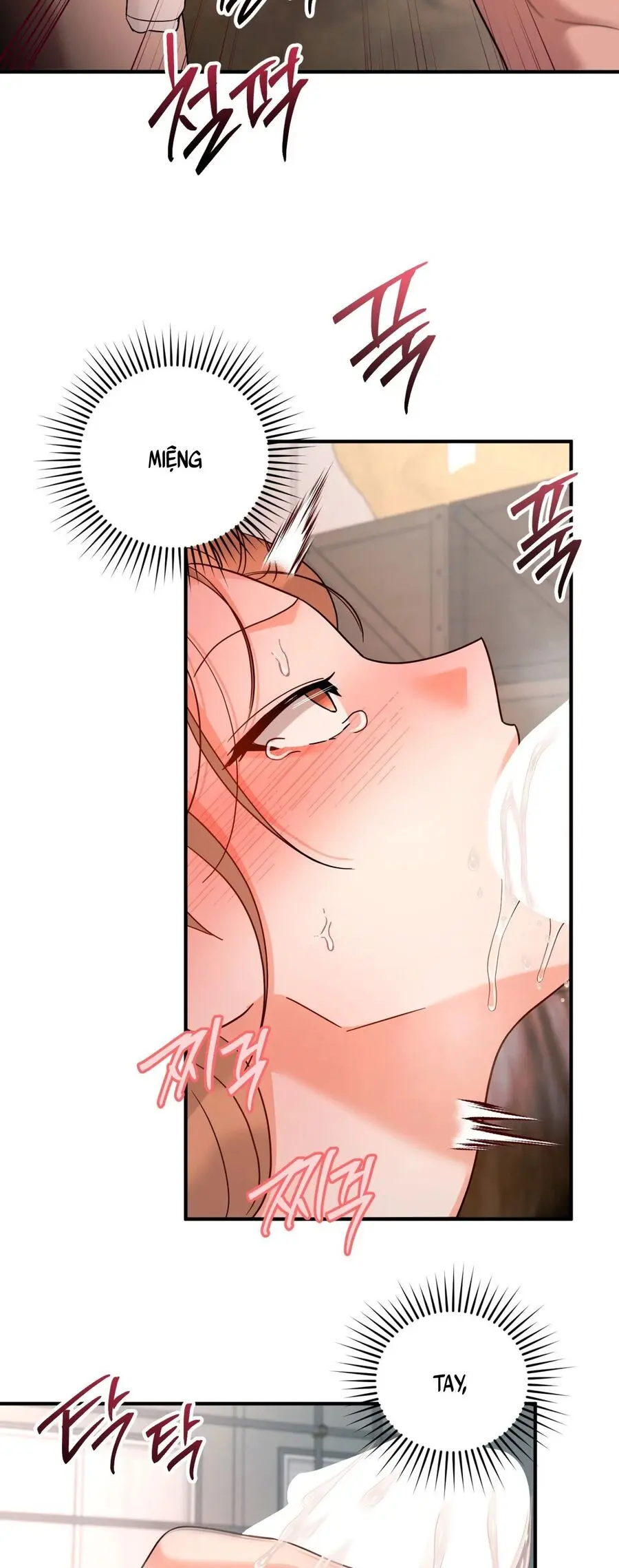 Huấn Luyện Viên Hai Hương Vị Chap 15 - trang 24