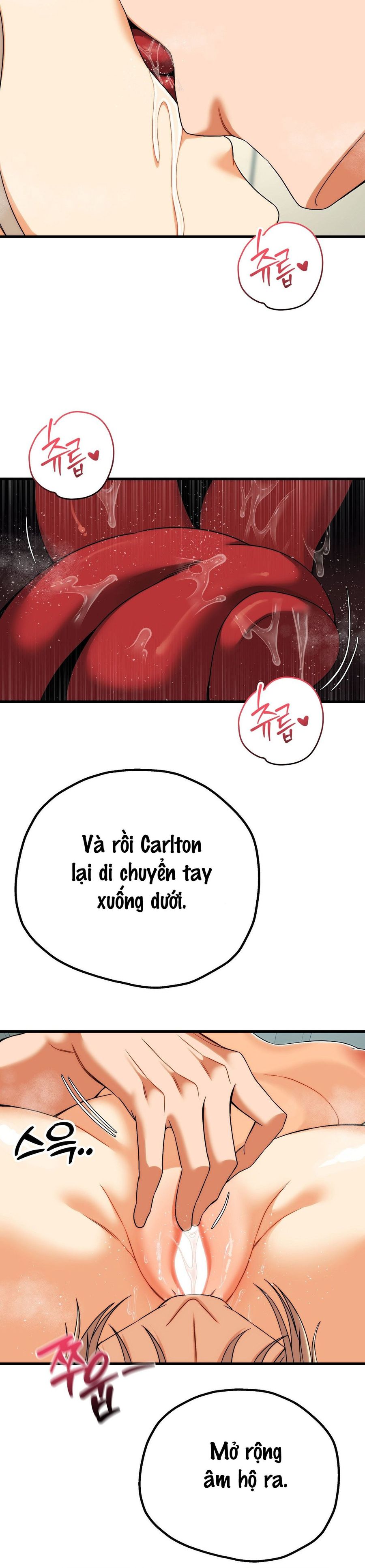 Câu Lạc Bộ Đọc Sách Người Lớn Chap 12 - trang 16
