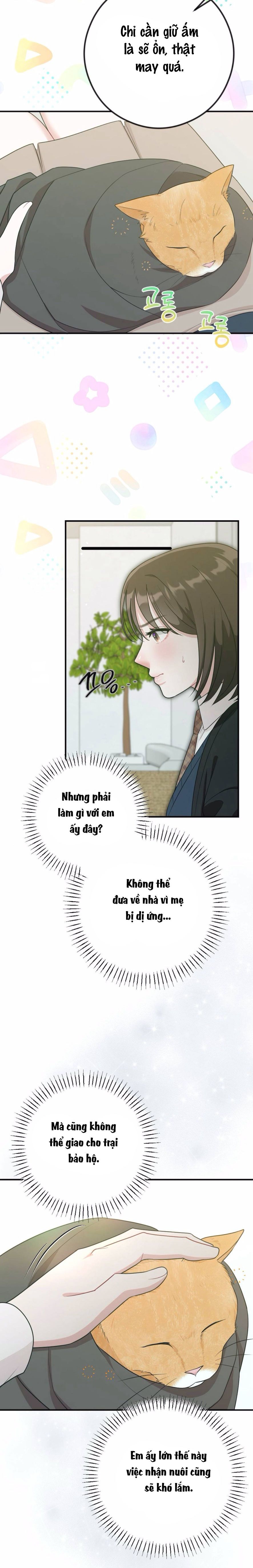 Chiếm Lấy Em Chap 5 - trang 2