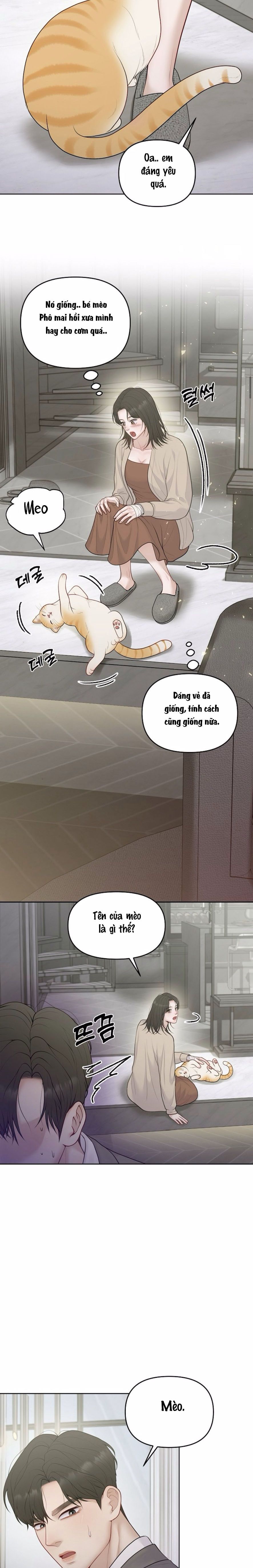 Mang Thai, Chiếm Đoạt Chap 13 - trang 19
