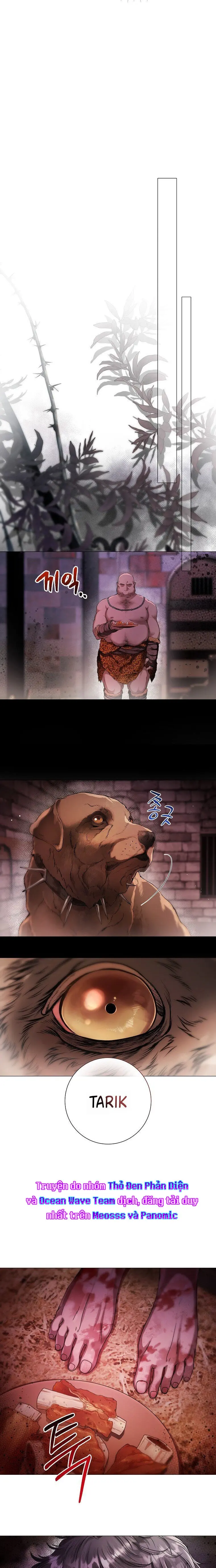 Cẩm Nang Dành Cho Merry Bad Ending Chap 18 - trang 3
