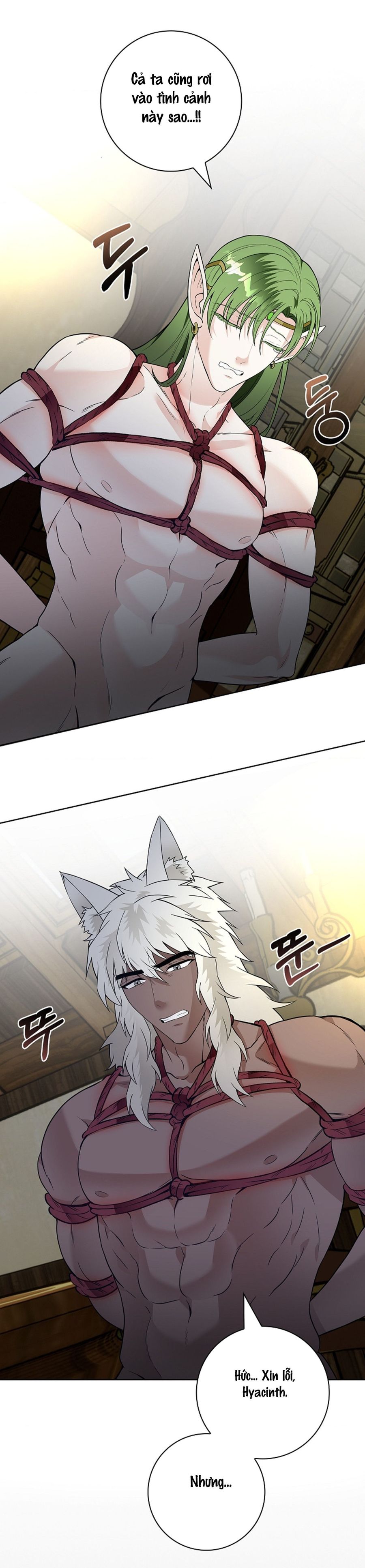 Cánh Hoa Ướt Đẫm Của Thánh Nữ Chap 18 - trang 2