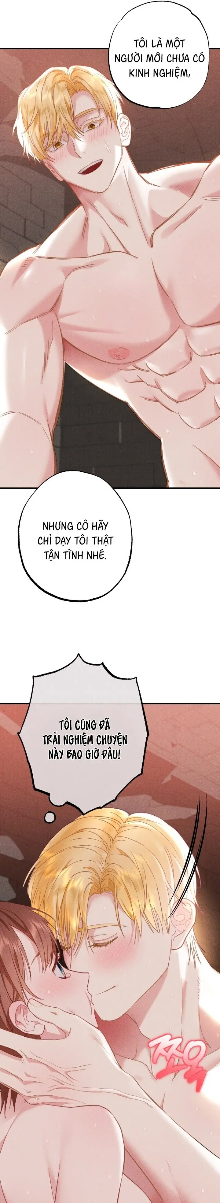 Dũng Sĩ Rơi Vào Cạm Bẫy Chap 2 - trang 17