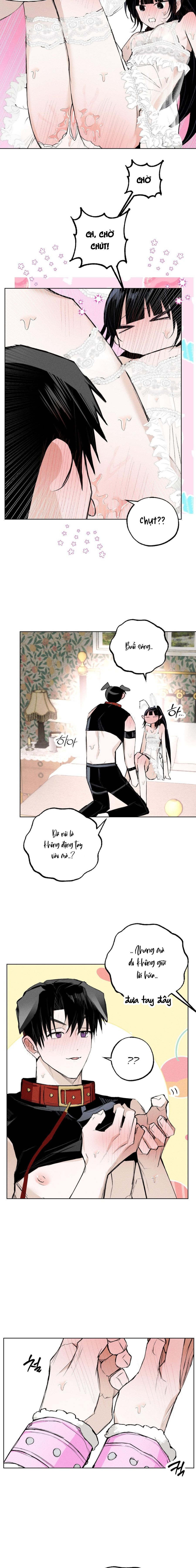 Vỏ Bọc Lãng Mạn Chap 10 - trang 17