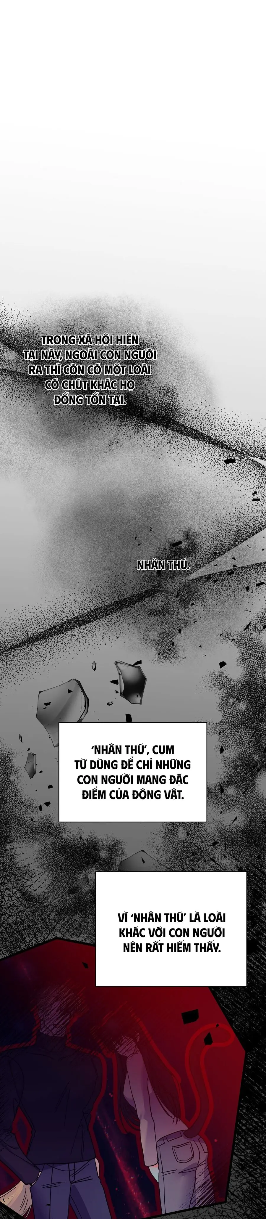 Thỏ Thì Không Cắn Đâu Chap 0 - trang 5