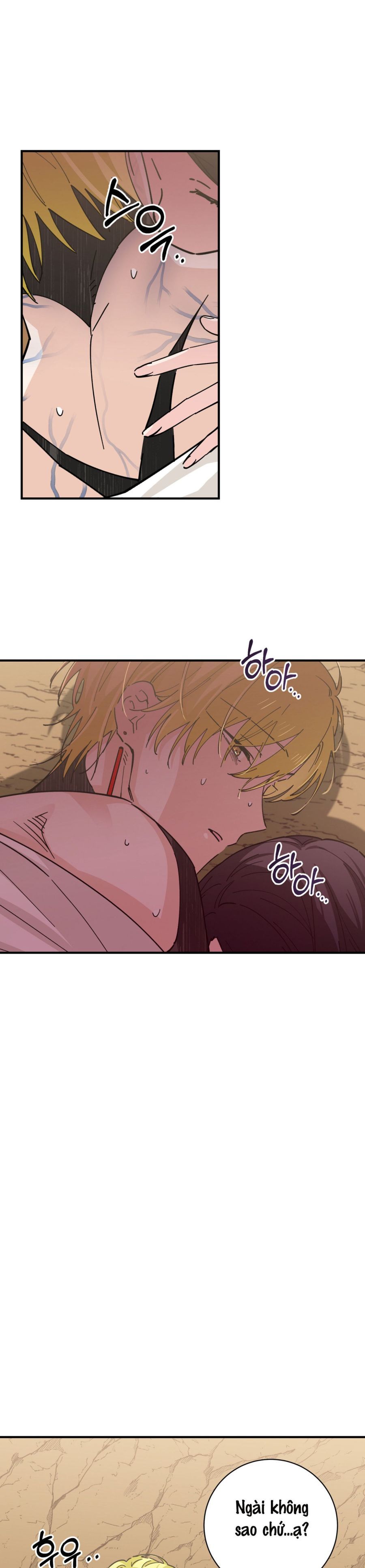 Tiểu Thư Nuốt Phù Thủy Chap 15 - trang 9