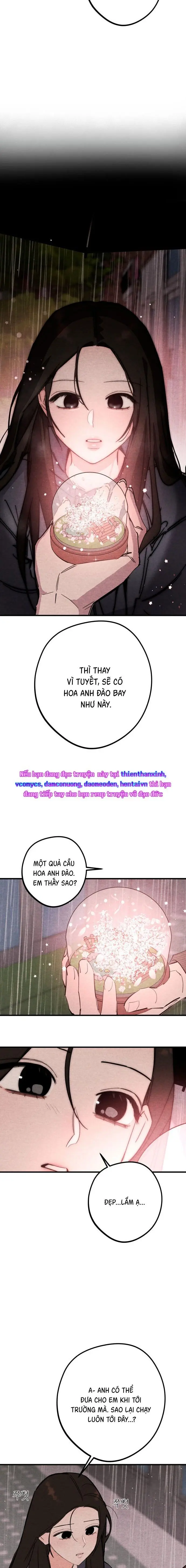 Bí Mật Của Tiền Bối Hoàn Hảo Chap 20 - trang 4