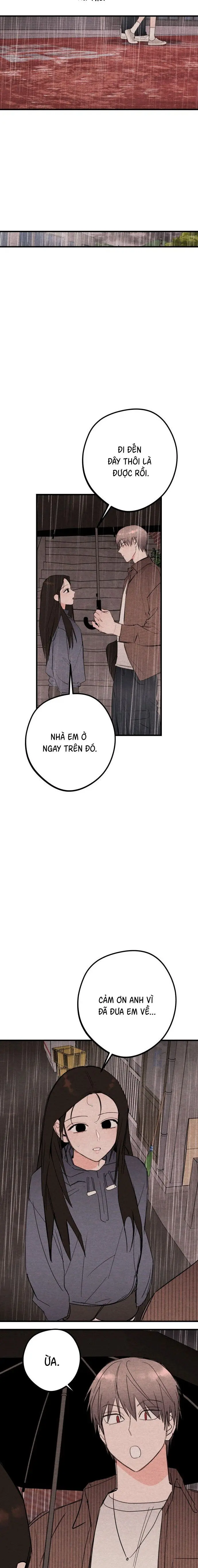 Bí Mật Của Tiền Bối Hoàn Hảo Chap 20 - trang 8