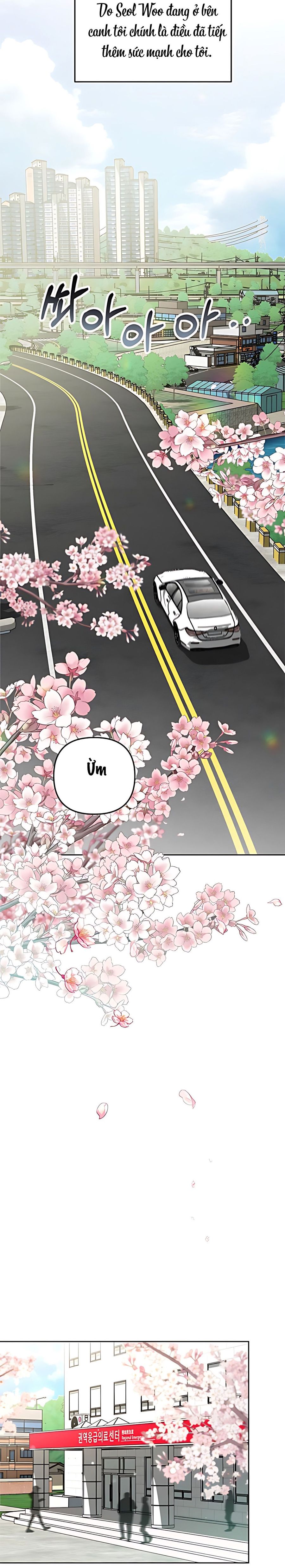 Cẩn Thận Va Phải Tình Yêu Chap 51 - trang 5