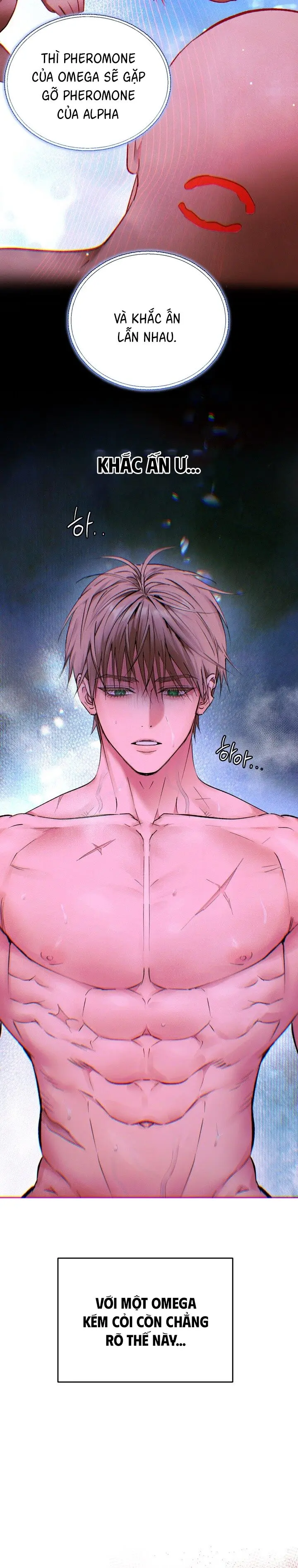 Bạn Đời Của Kẻ Săn Mồi Chap 4 - trang 22