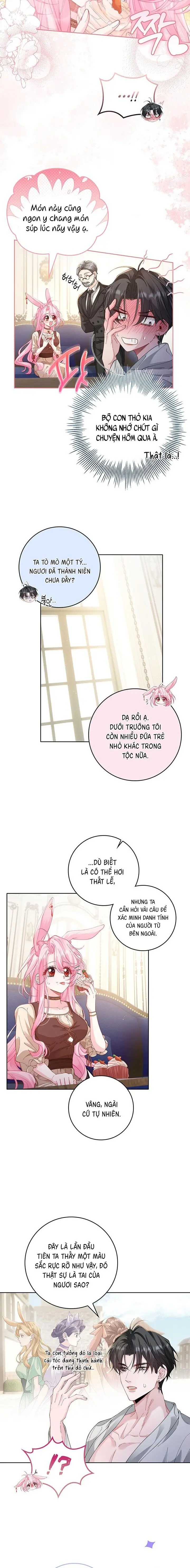 Nếu Bị Giam Giữ Hãy Vẫy Củ Cà Rốt Chap 3 - trang 5