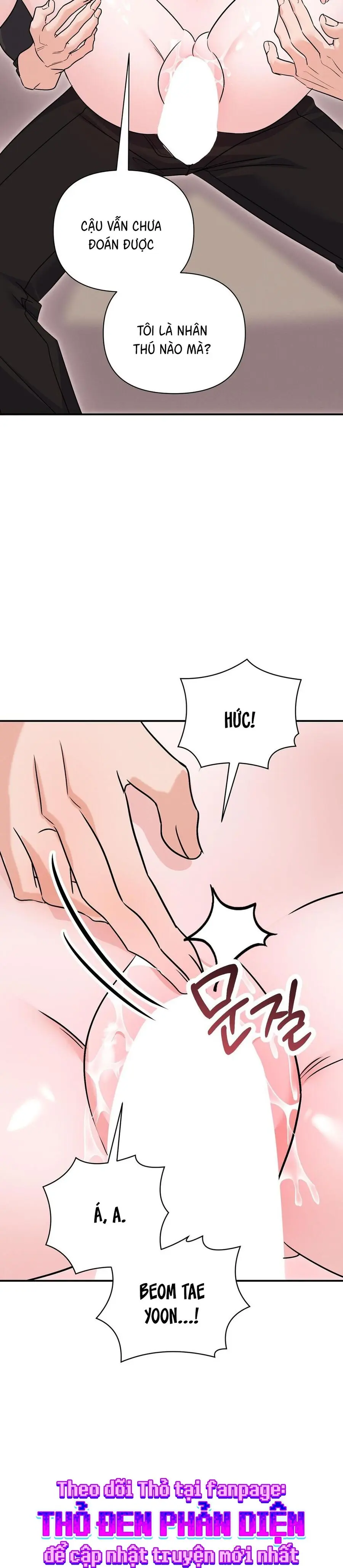 Thỏ Thì Không Cắn Đâu Chap 6 - trang 23
