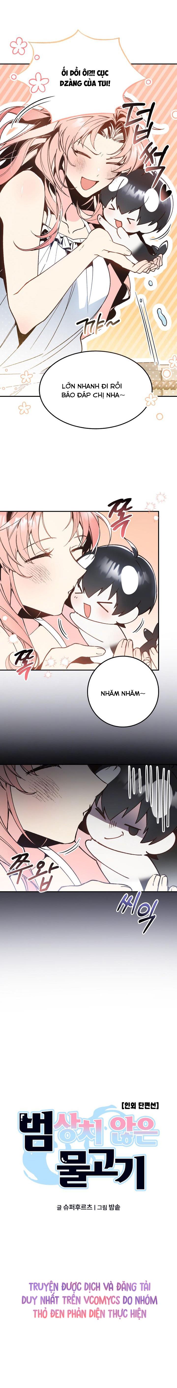 Giấc Mơ Về Chàng Cá Chap 0 - trang 5