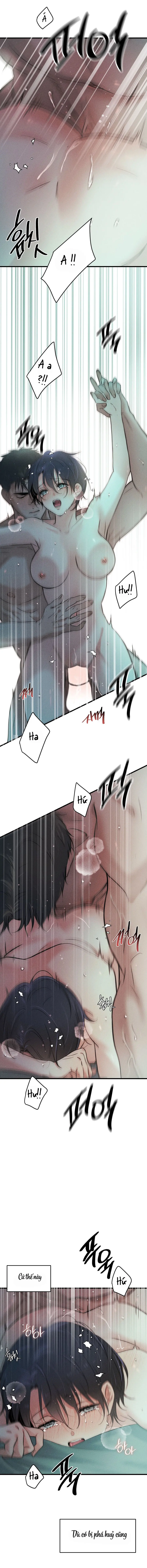 Những Ngày Cỏ Ba Lá Chap 15 - trang 11
