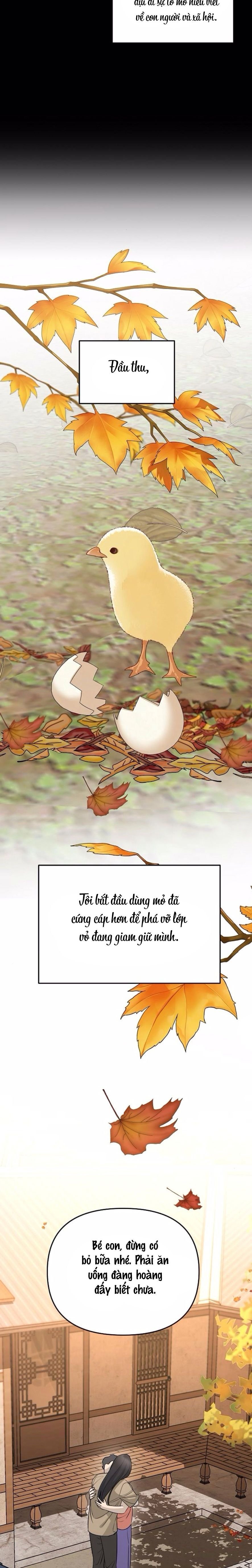 Cẩn Thận Va Phải Tình Yêu Chap 29 - trang 17