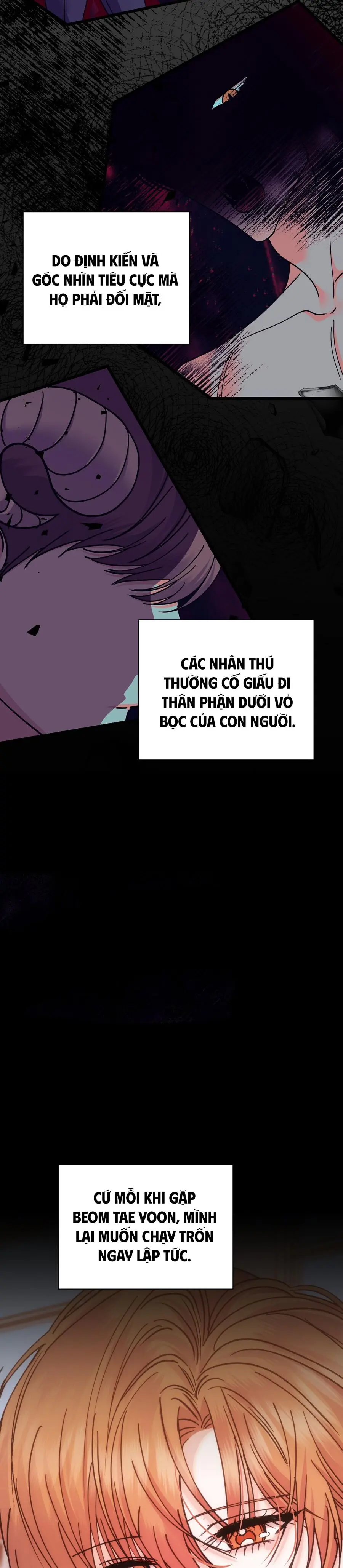 Thỏ Thì Không Cắn Đâu Chap 0 - trang 6