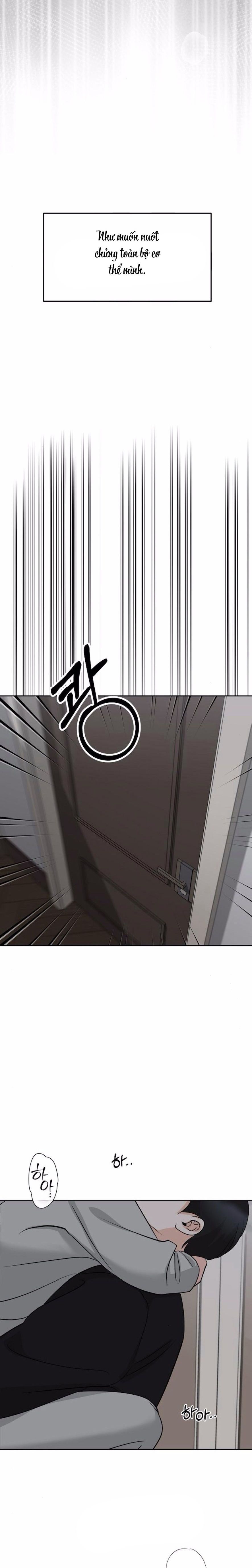 Cẩn Thận Va Phải Tình Yêu Chap 35 - trang 21