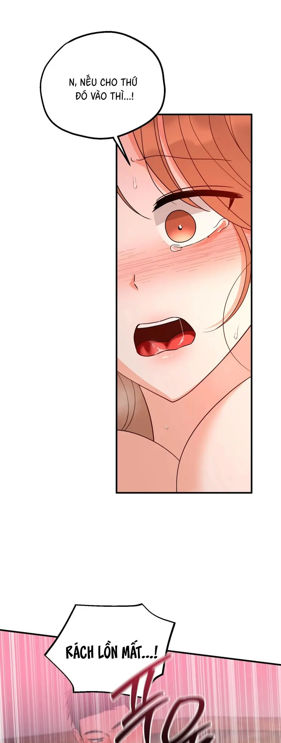 Hai Gương Mặt Của Huấn Luyện Viên Chap 16 - trang 7