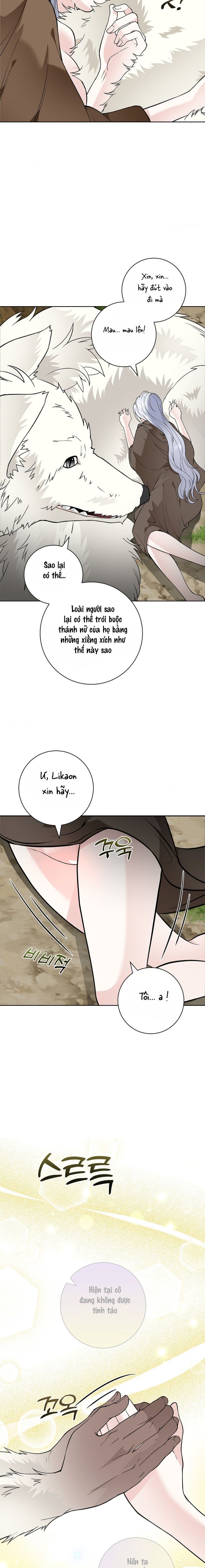 Cánh Hoa Ướt Đẫm Của Thánh Nữ Chap 15 - trang 15