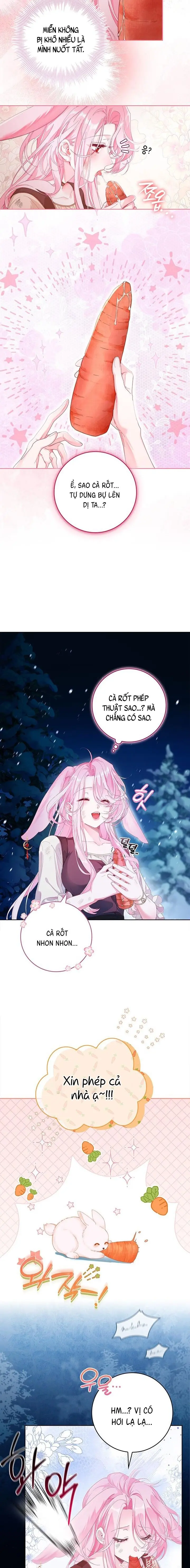 Nếu Bị Giam Giữ Hãy Vẫy Củ Cà Rốt Chap 1 - trang 4