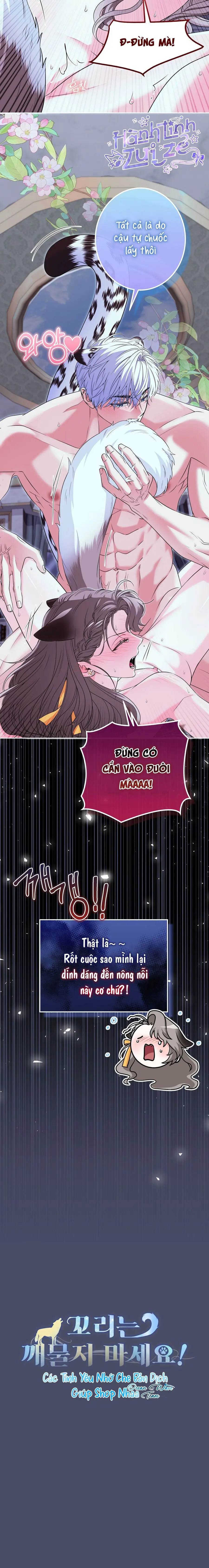 Đừng Cắn Vào Đuôi! Chap 1 - trang 18