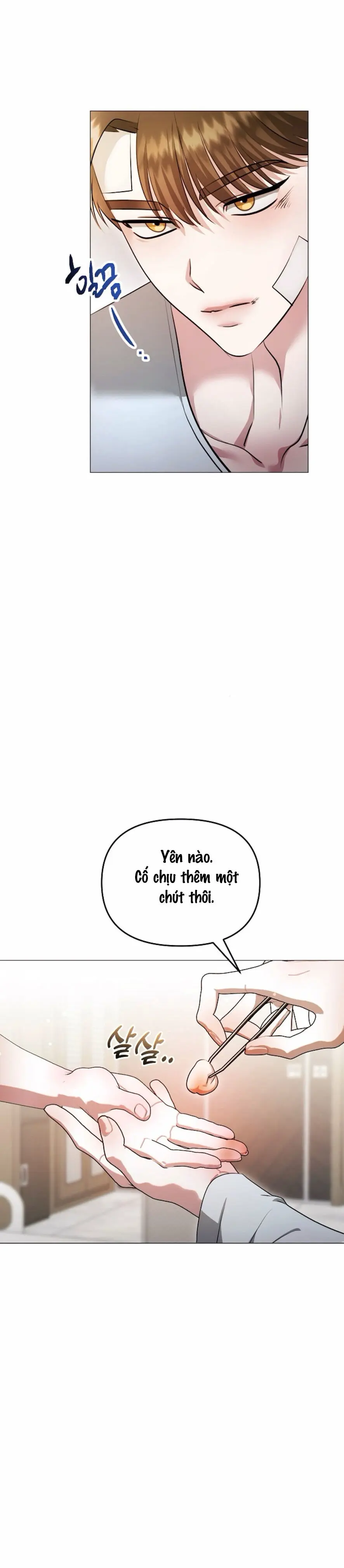 Sự Cám Dỗ Ngọt Ngào Của Cậu Bạn Thân Chap 17 - trang 11