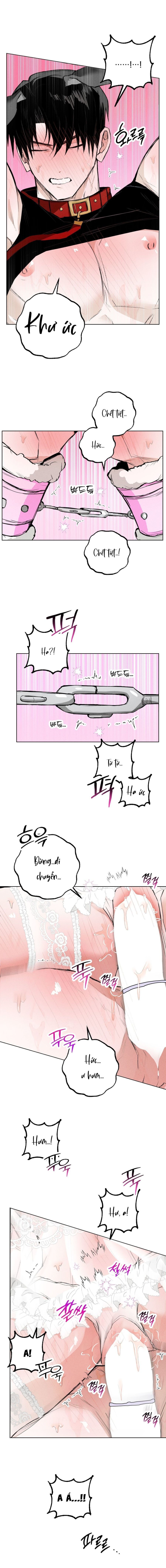 Vỏ Bọc Lãng Mạn Chap 11 - trang 10