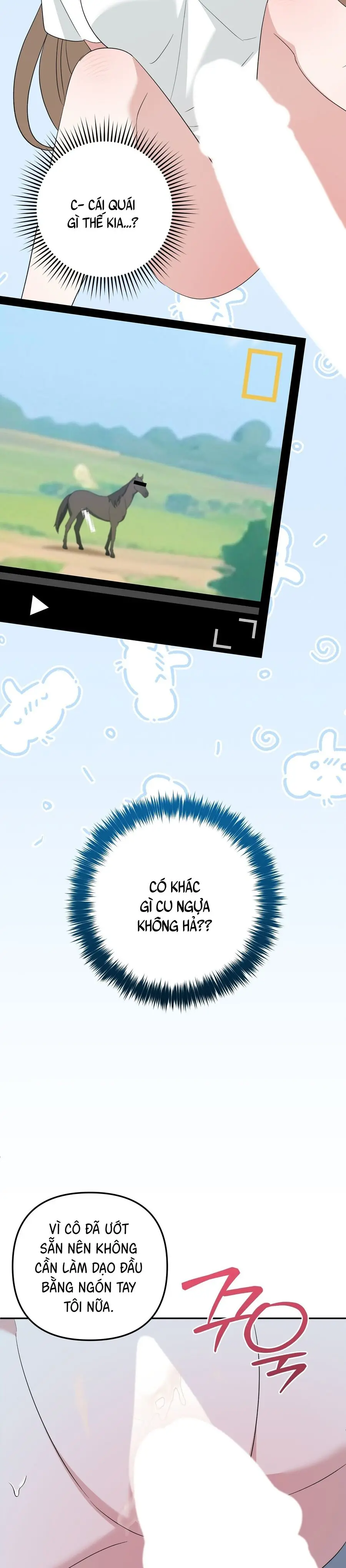 Đừng Nhặt Đàn Ông Về Nhà Chap 2 - trang 25