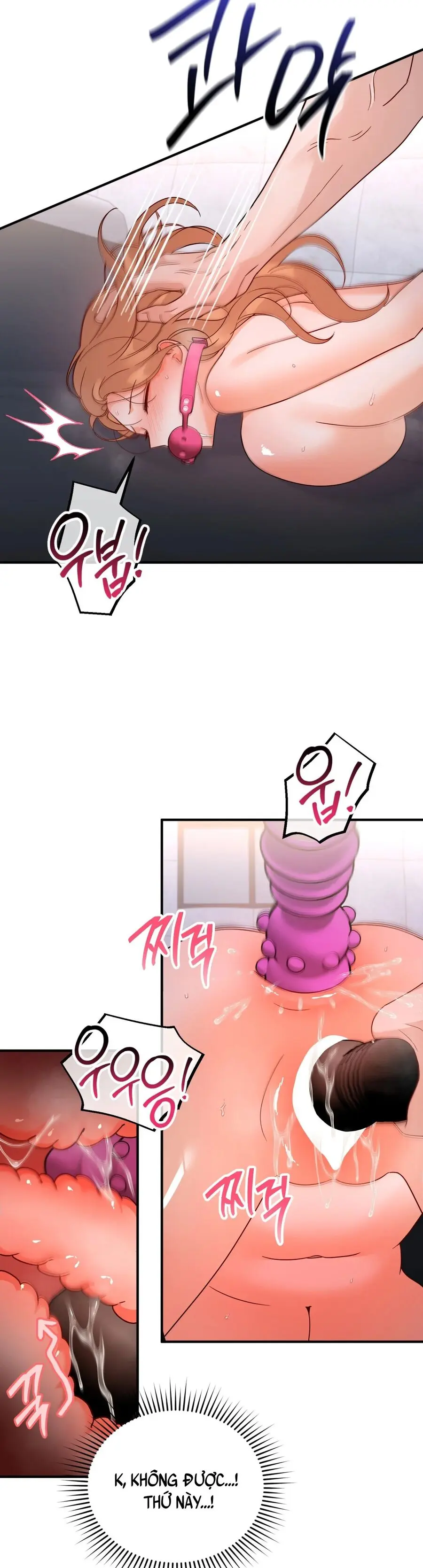 Huấn Luyện Viên Hai Hương Vị Chap 13 - trang 17