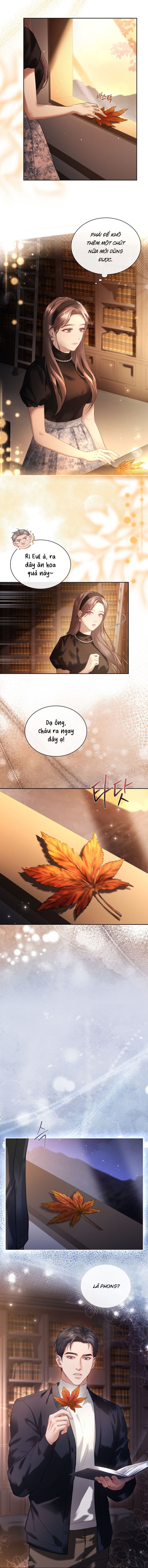 Người Vợ Trẻ Chap 23 - trang 8