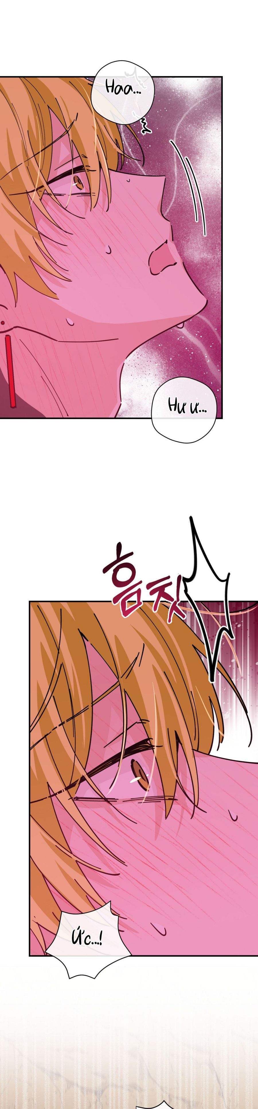 Tiểu Thư Nuốt Phù Thủy Chap 16 - trang 6