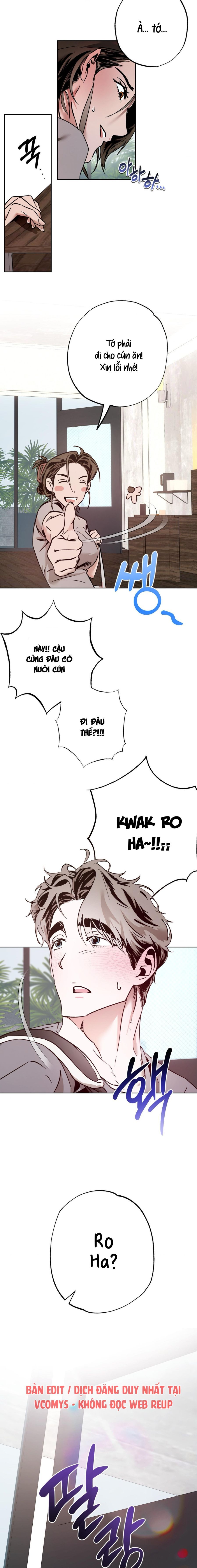 Tình Yêu Thuần Khiết Rốt Cuộc Là Gì Thế?! Chap 6 - trang 15