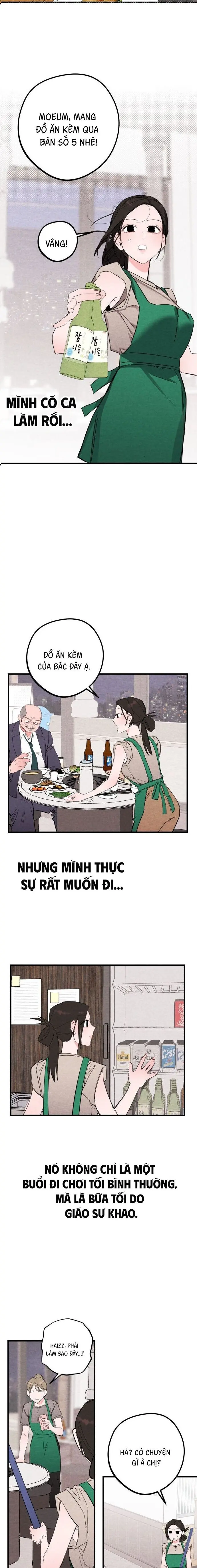 Bí Mật Của Tiền Bối Hoàn Hảo Chap 13 - trang 8