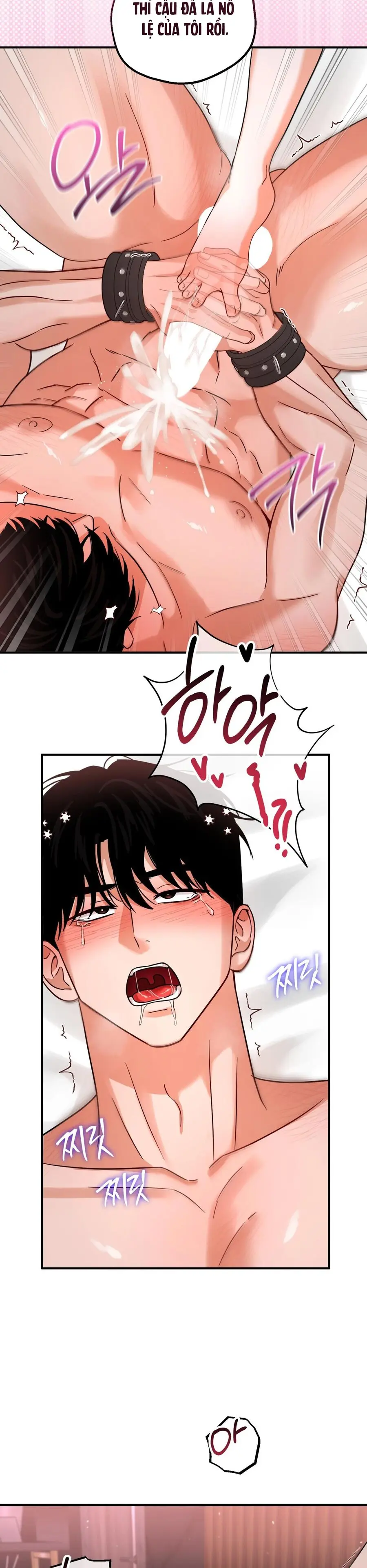 Huấn Luyện Viên Hai Hương Vị Chap 9.5 - trang 20