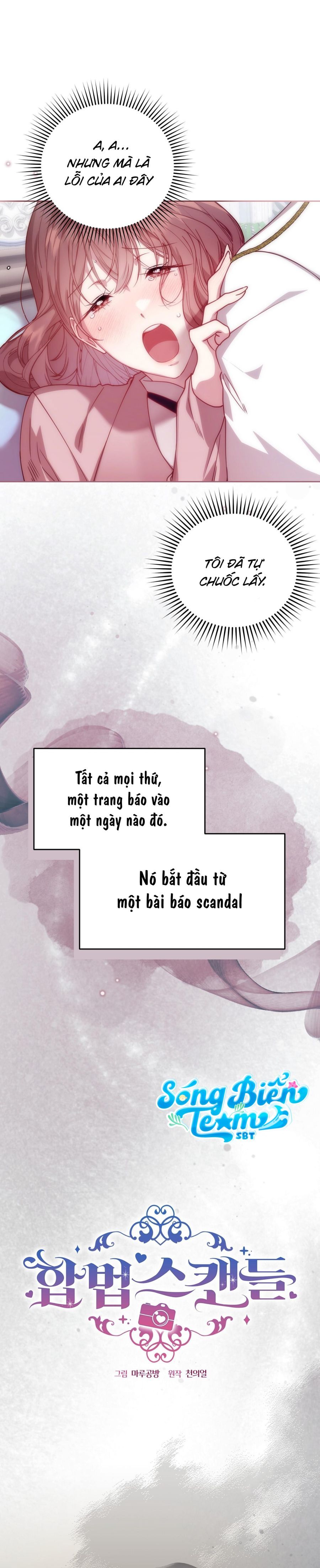 Vụ Bê Bối Pháp Lý Chap 1 - trang 14