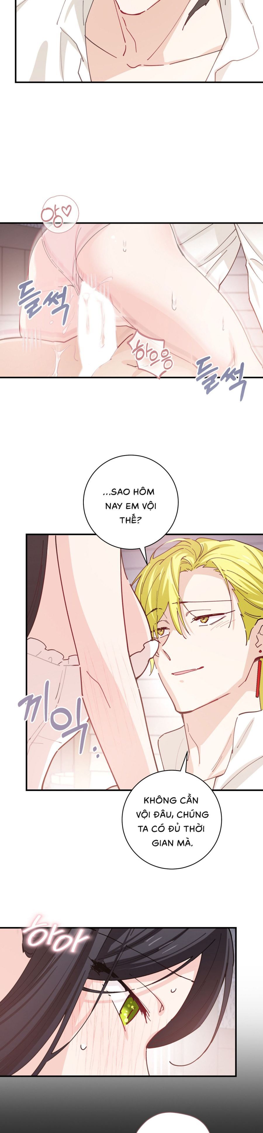 Tiểu Thư Nuốt Phù Thủy Chap 24 - trang 15