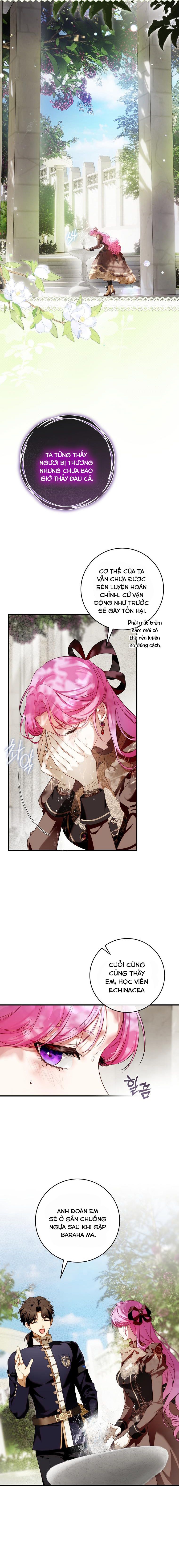 Hoa Bên Lưỡi Kiếm Chap 14 - trang 12