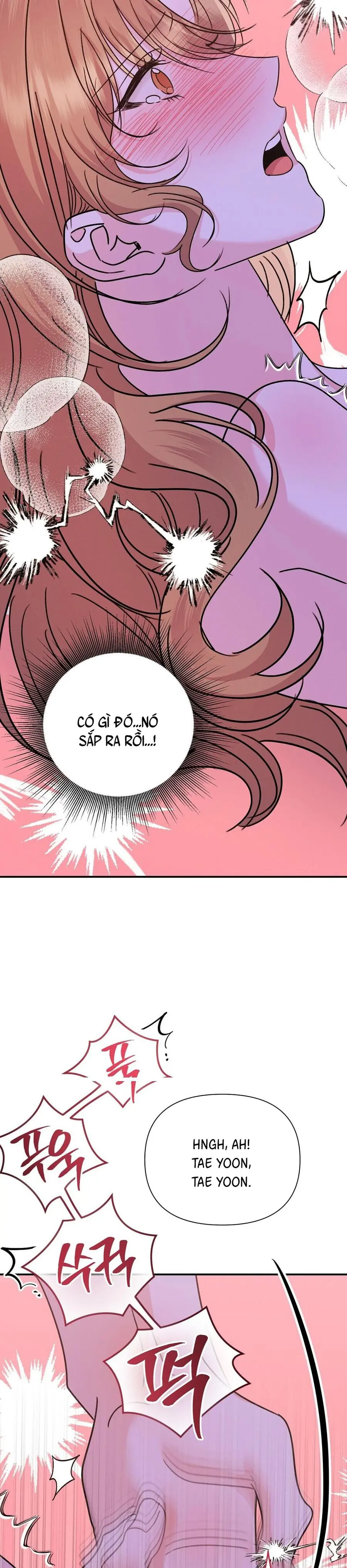 Thỏ Thì Không Cắn Đâu Chap 3 - trang 17
