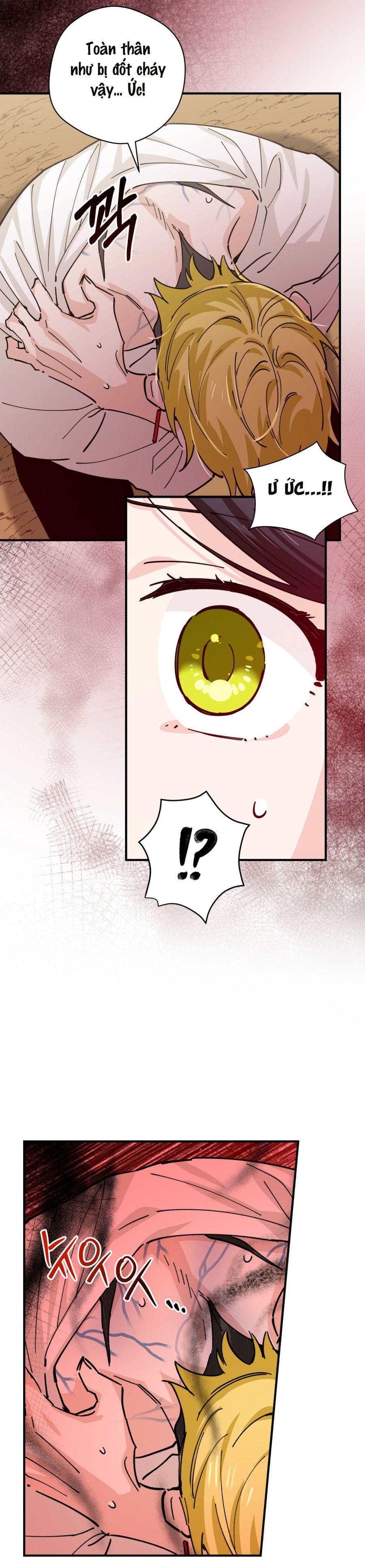 Tiểu Thư Nuốt Phù Thủy Chap 15 - trang 5