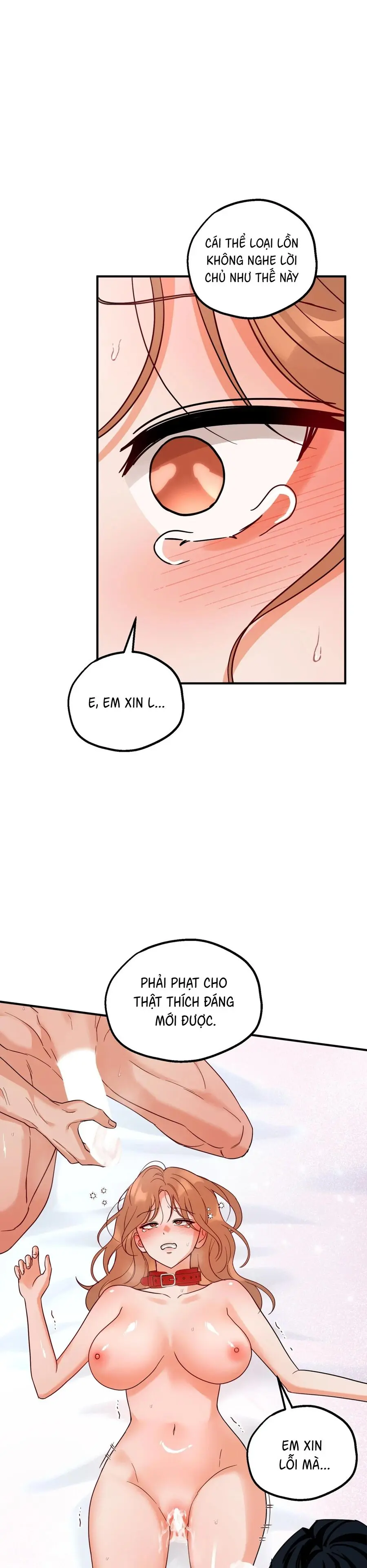 Huấn Luyện Viên Hai Hương Vị Chap 8 - trang 1