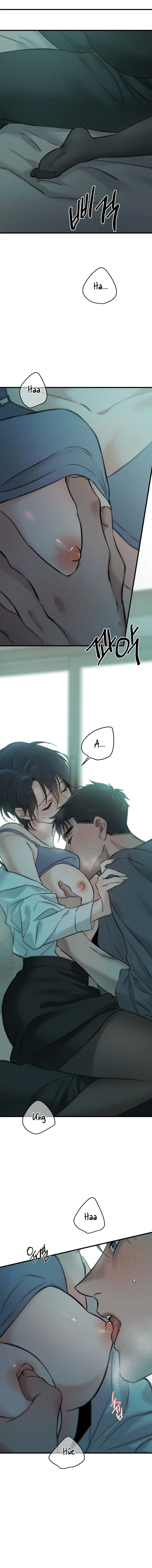 Những Ngày Cỏ Ba Lá Chap 9 - trang 13