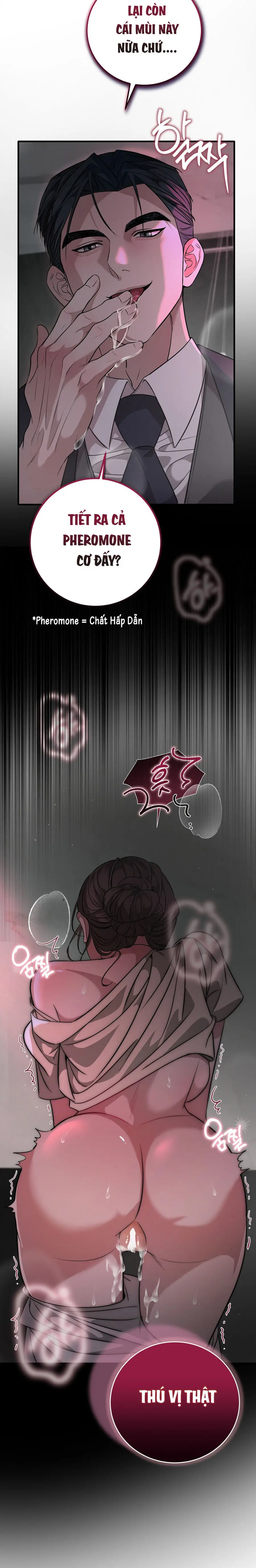 Cạm Bẫy Mang Thai Chap 4 - trang 9